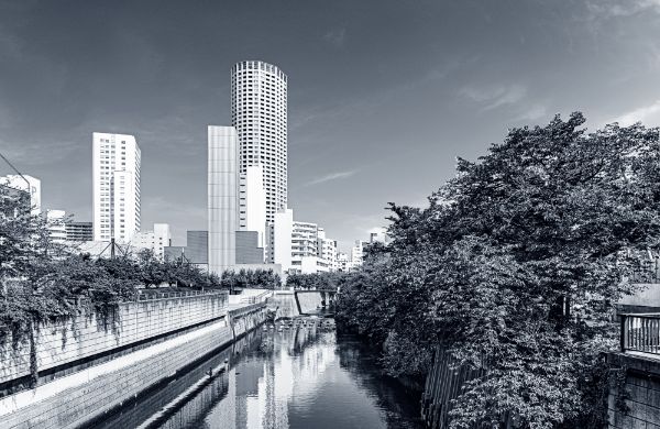 地域＋都会的な生活