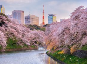 About Us 私たちの分譲住宅とは